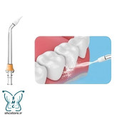 واترجت_همراه_دندان_گیت_مت_لو_ اساچسی_ارتودنسی_پلاک_دندان_قلابی_خمیده_التهابات